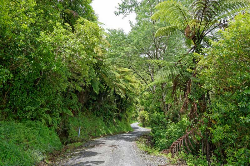 Access road into Rainbow Community, backpackers and campground near Takaka in Golden Bay